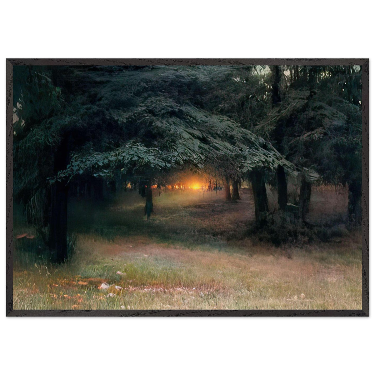 Захід Сонця В Лісі by Trush Ivan Ivanovych, framed poster, view 3