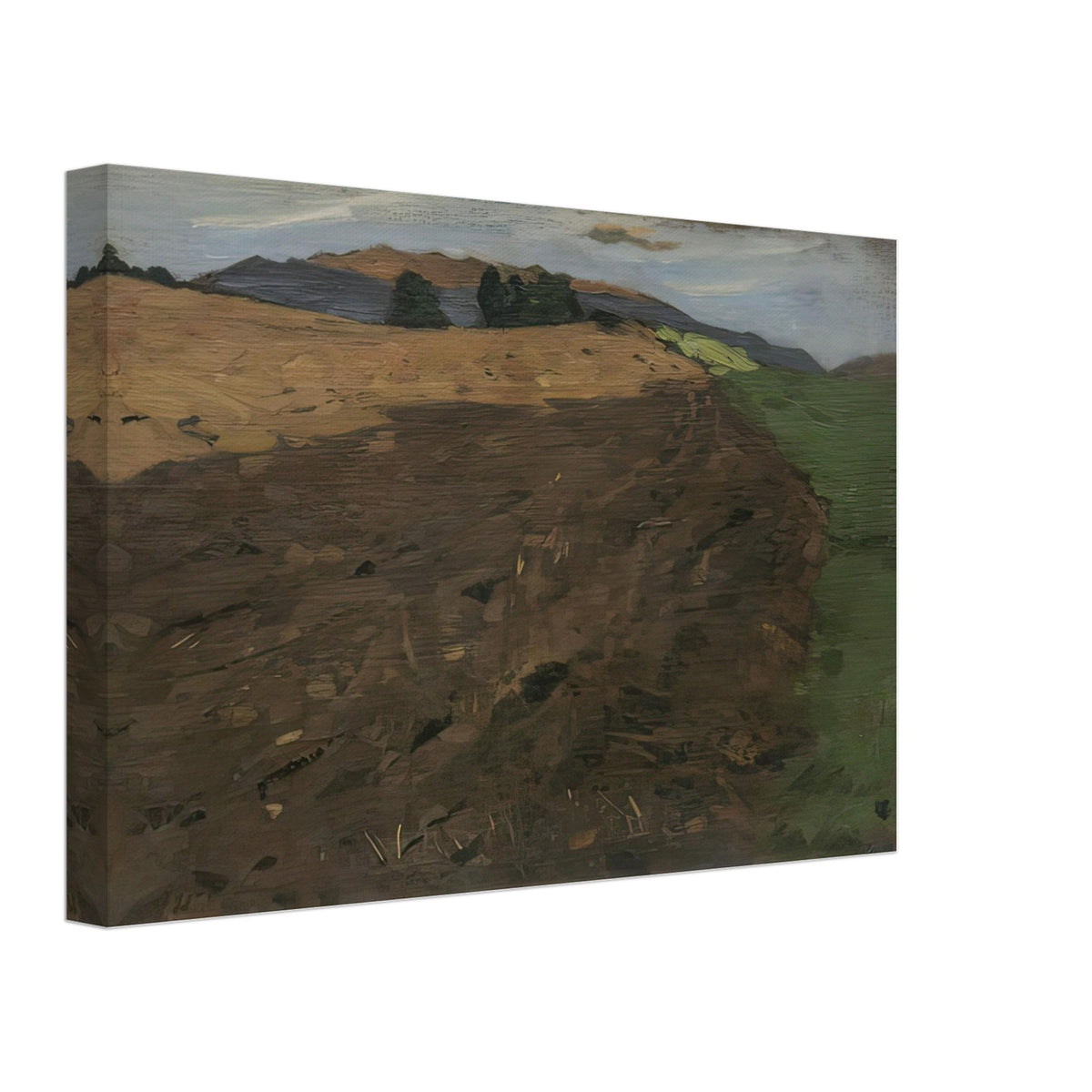 Tyrolean Landscape. Study for Der Sämann by Albin Egger-Lienz, canvas, view 2