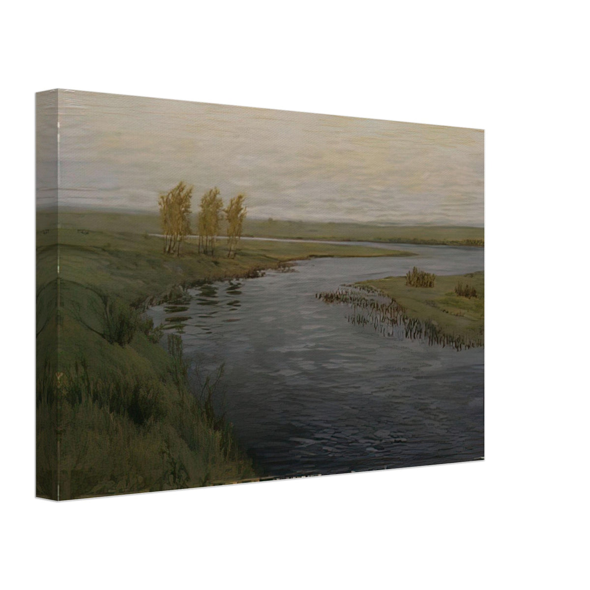 Степная Речка Весной by Vitold Byalynitsky-Birulya, canvas, view 2
