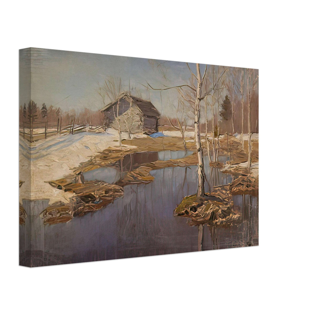 Талые Воды. Чайка. Этюд by Vitold Byalynitsky-Birulya, canvas, view 2