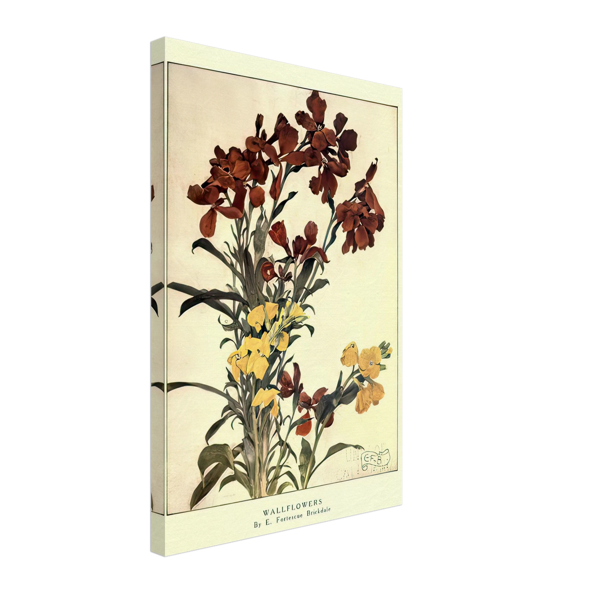 Wallflowers by Eleanor Fortescue-Brickdale, canvas