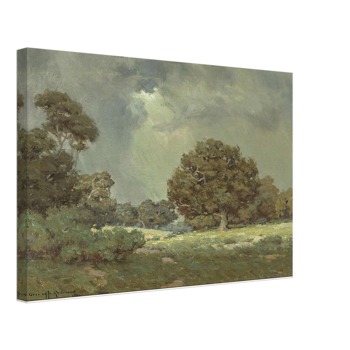 Wildflowers Under Grey Skies (the Coming Storm) by Granville Redmond, canvas