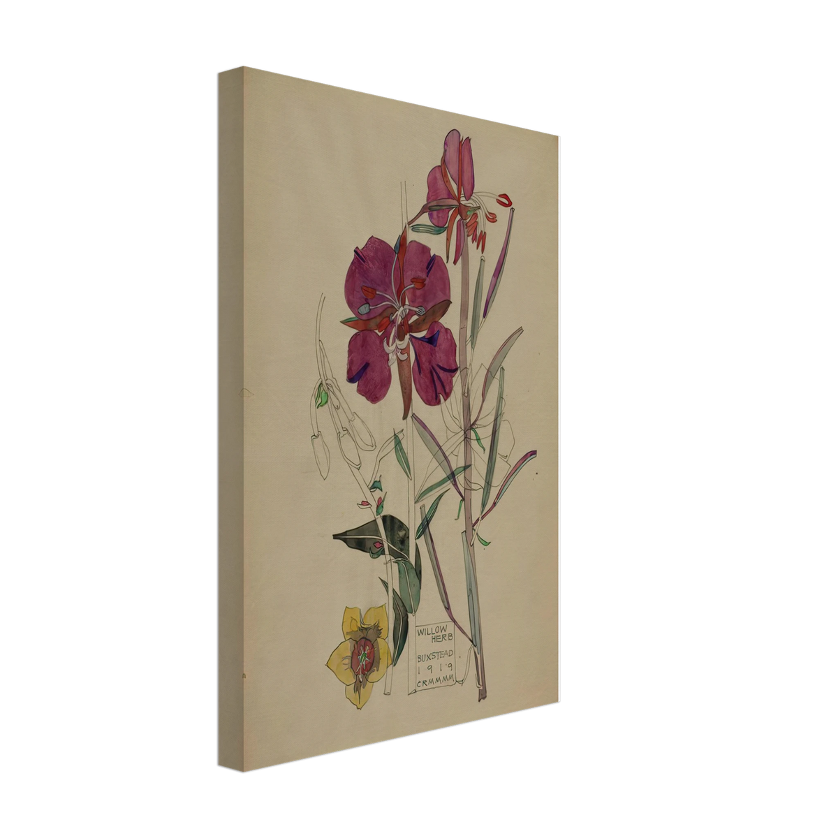 Willow Herb, Buxstead by Charles Rennie Mackintosh, canvas, view 2
