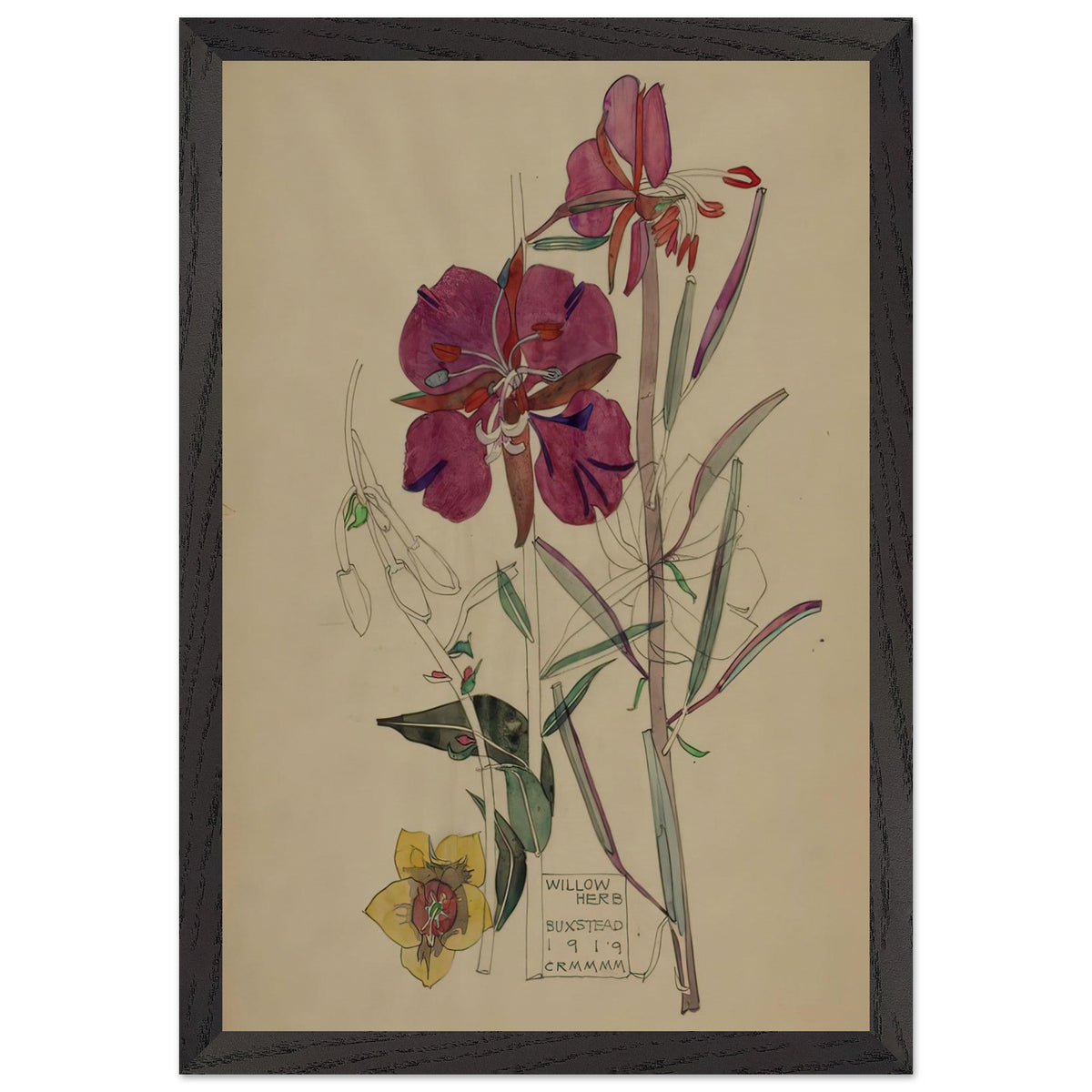 Willow Herb, Buxstead by Charles Rennie Mackintosh, framed poster, view 2