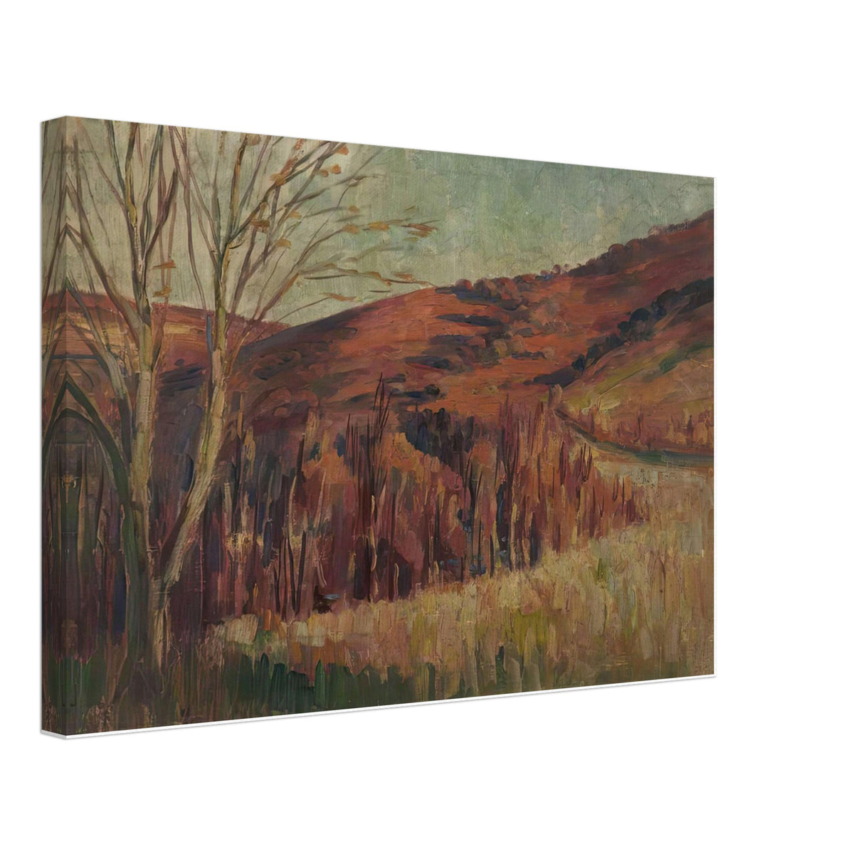 Woods by Harry Phelan Gibb, canvas